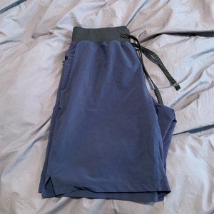 Fabletics Mens Shorts